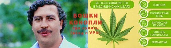 мяу мяу мука Абаза