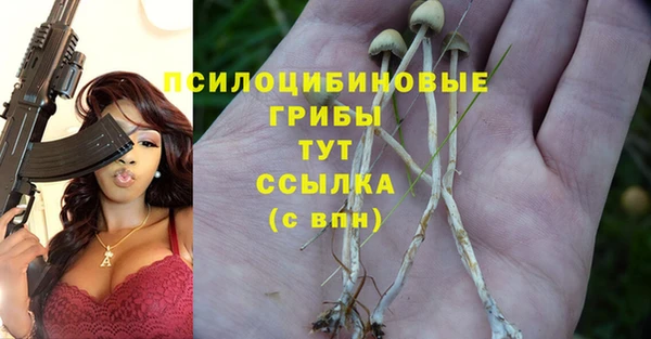 мяу мяу мука Абаза